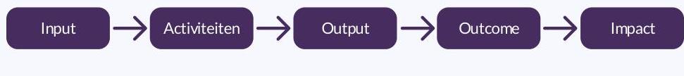 Visuele weergave van de in de tekst beschreven onderdelen van de theory of change.
